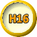 H16